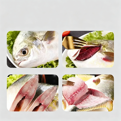 Frozen Golden Pomfret
